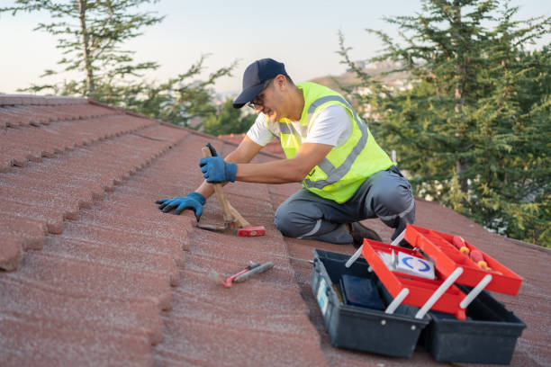 Best Roof Waterproofing Services  in Woodstock, AL